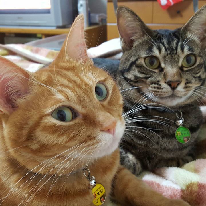 79a5d8f6 6c72 4244 b345 a2e8cb8a0867