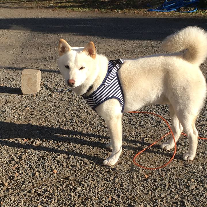 79a60d18 f4cf 424d 9358 8447ca4c389b