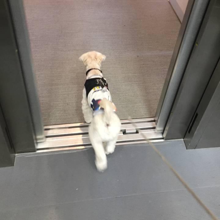 79a64747 e4c3 4875 8bee f2667f0fe5b1