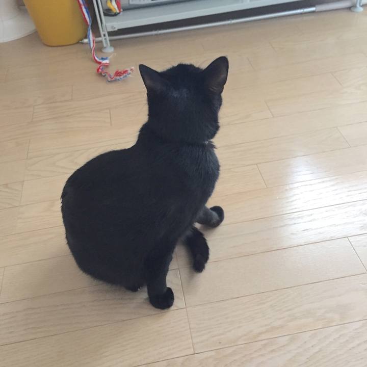 79a753fc e6e9 4e05 ac6f eb6f5390518d