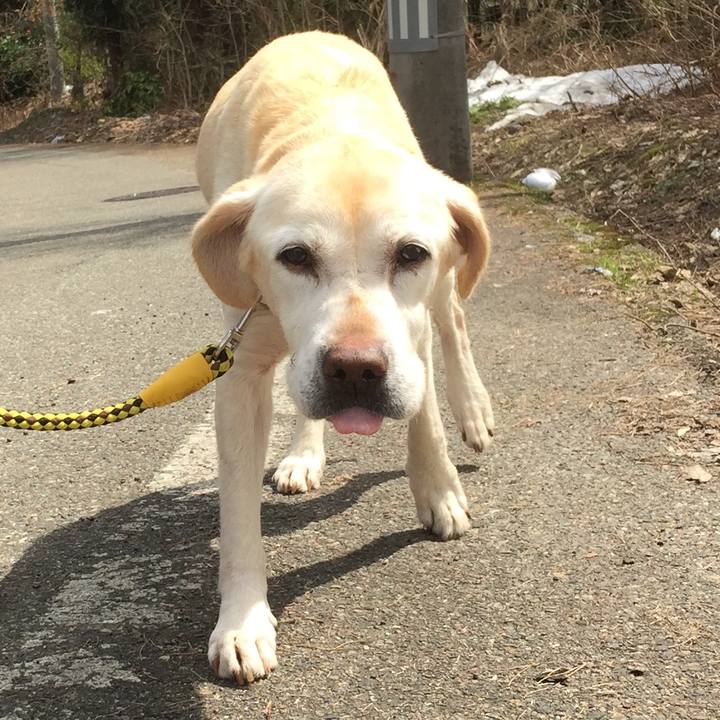 79a77a09 7013 4745 8265 f53eb8fdb7bb