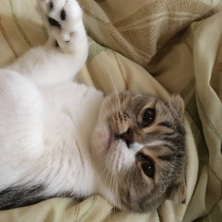 79a81699 29a0 46ab 9cce 58eadac0e4b8