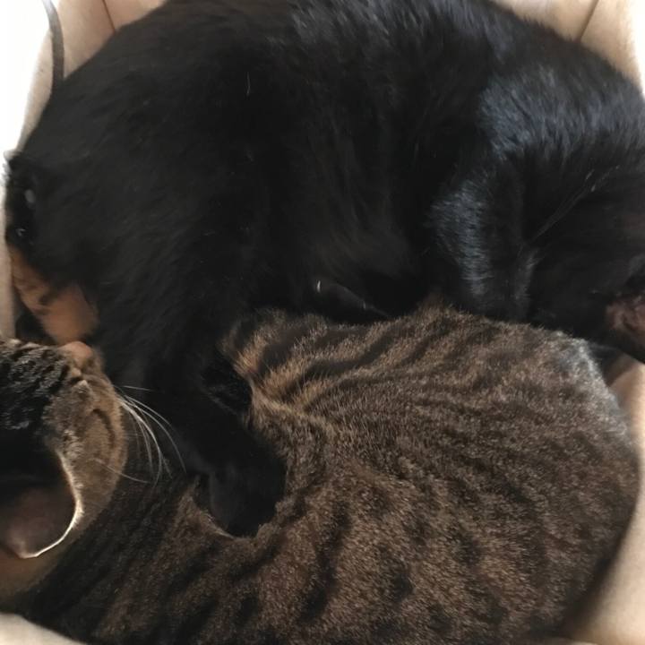 79a88fbd 422a 4a79 81f8 752fcc383eb5