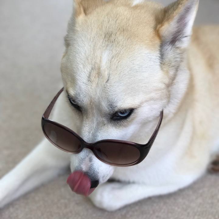 79a8b4f9 0ea6 43c7 85bd f8bb3b7d2f62