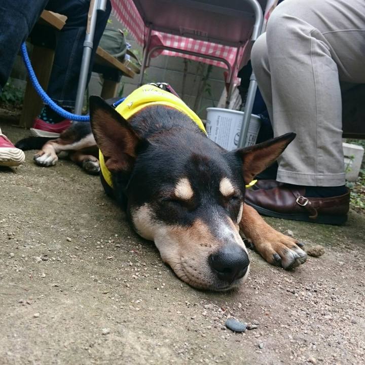 79a90a0d 7115 4145 a0ca de28dddfa283