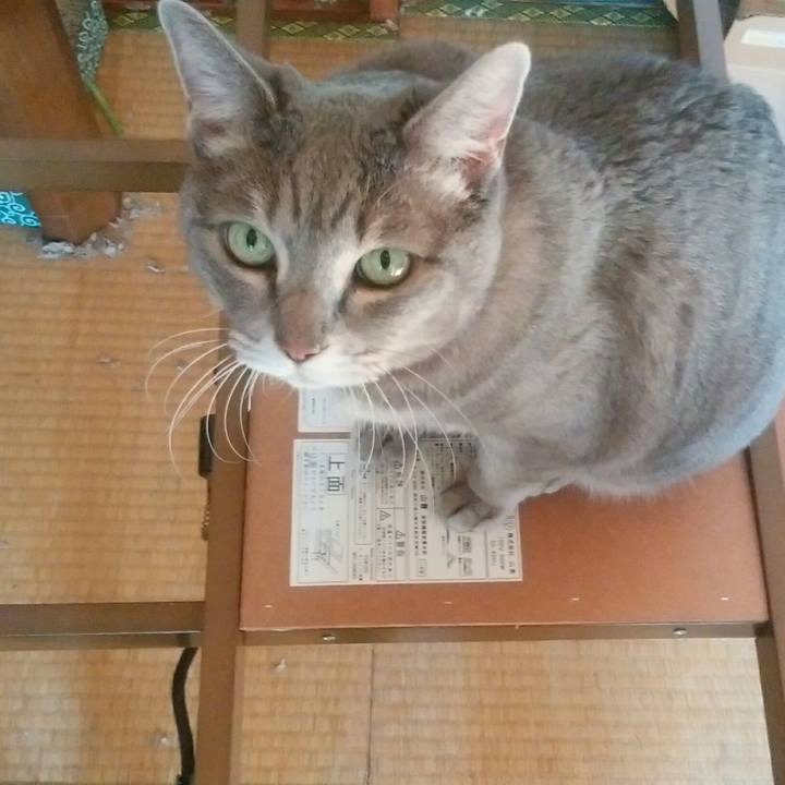 79aa2f5a b93c 4ce4 ab95 b7e79234b8c5