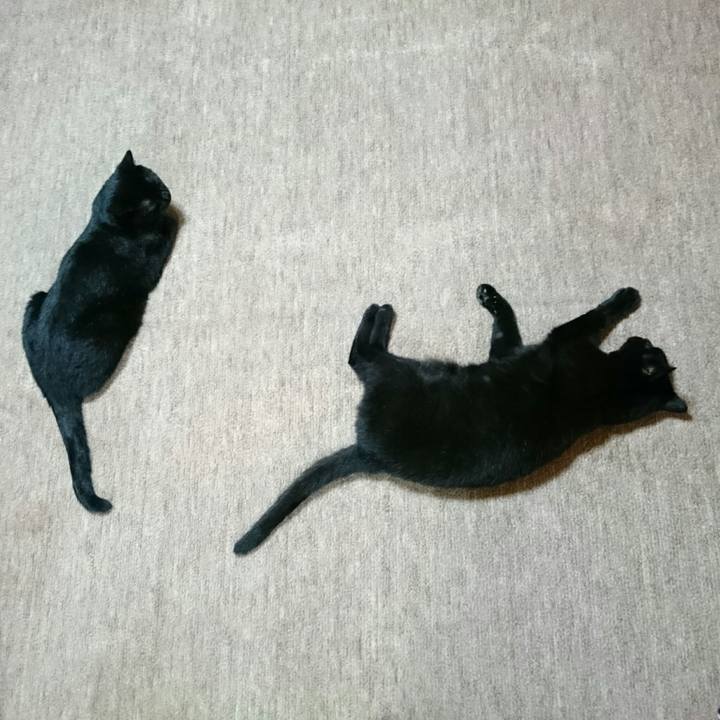 79aa4081 acc2 4887 97a4 2c6d907079b2