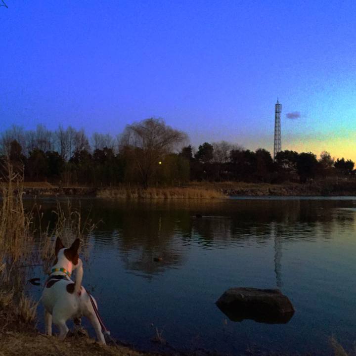 79abe4cd 17cf 497e b90a b7795ac0ad3b