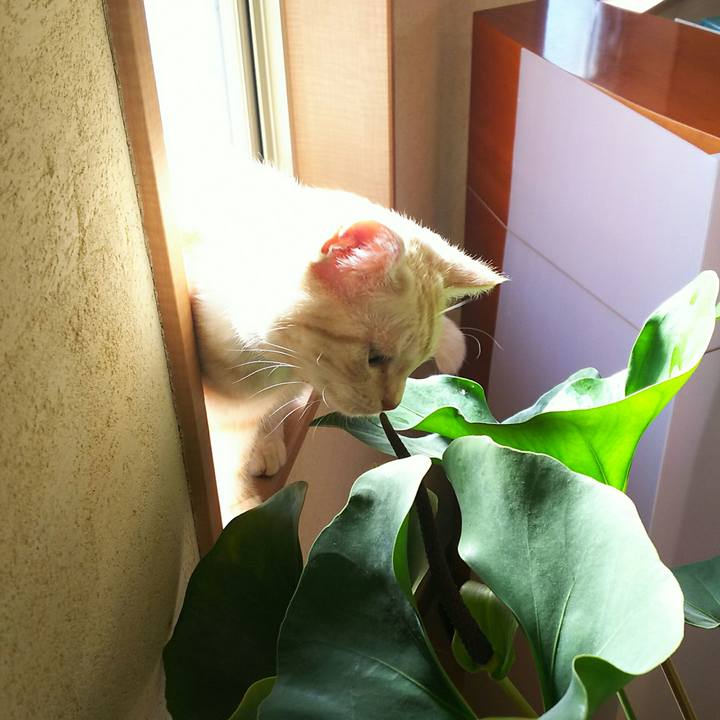 79accb3b f557 4466 8e47 95b2e2f0dd48