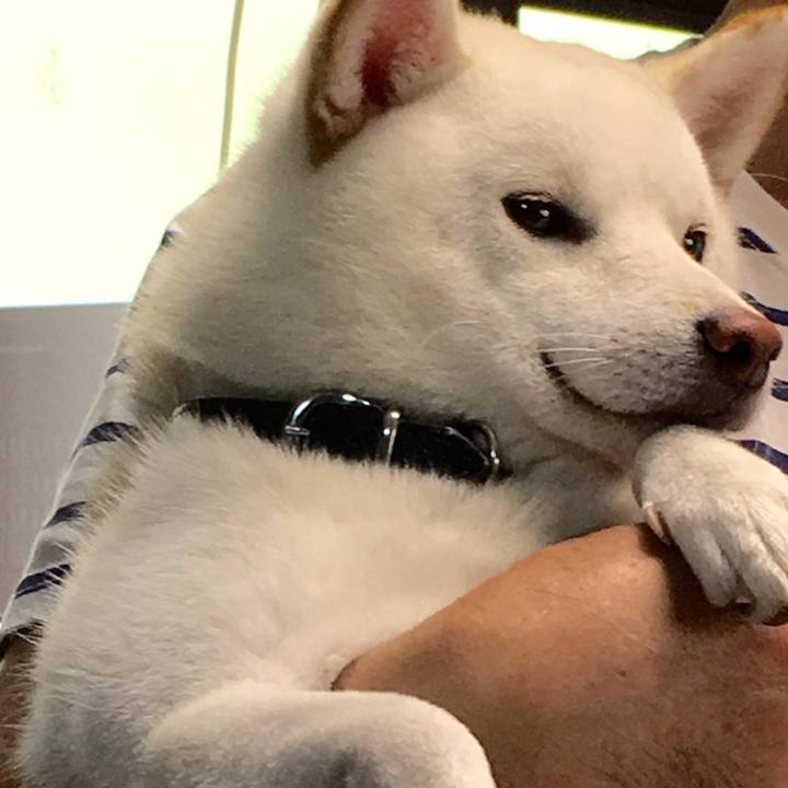 79ad370e 952b 48f8 9e3b 86d0ef42d288