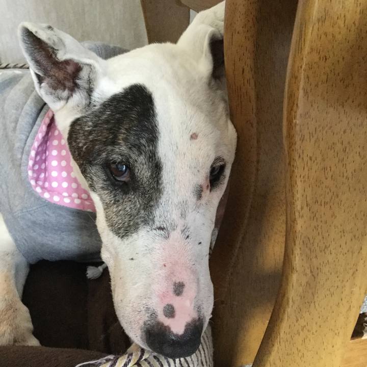 79ad4659 c8b8 4801 9306 2258e37e4369