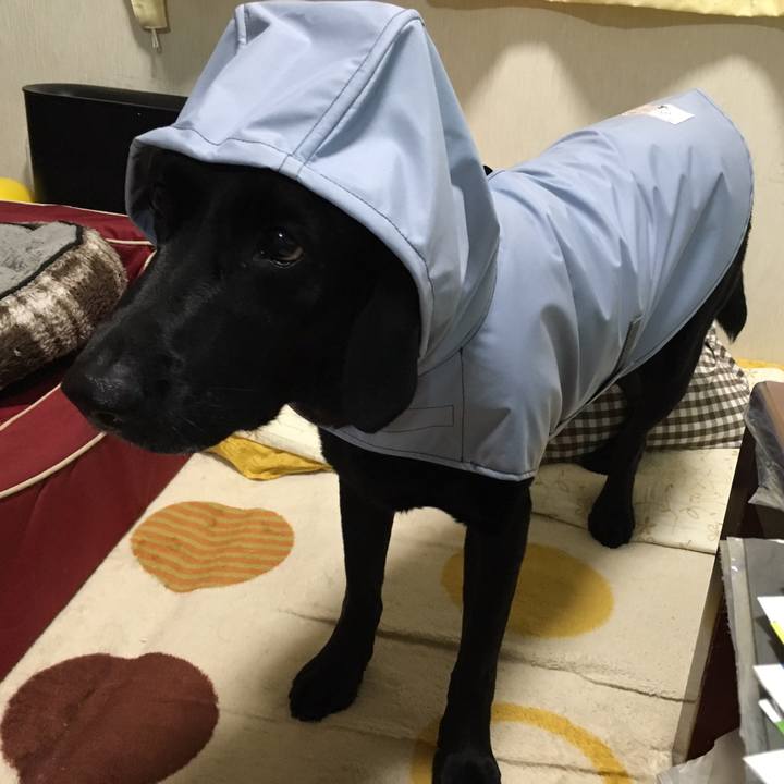 79ad580d 30eb 437a b8a6 35f7943faa2e