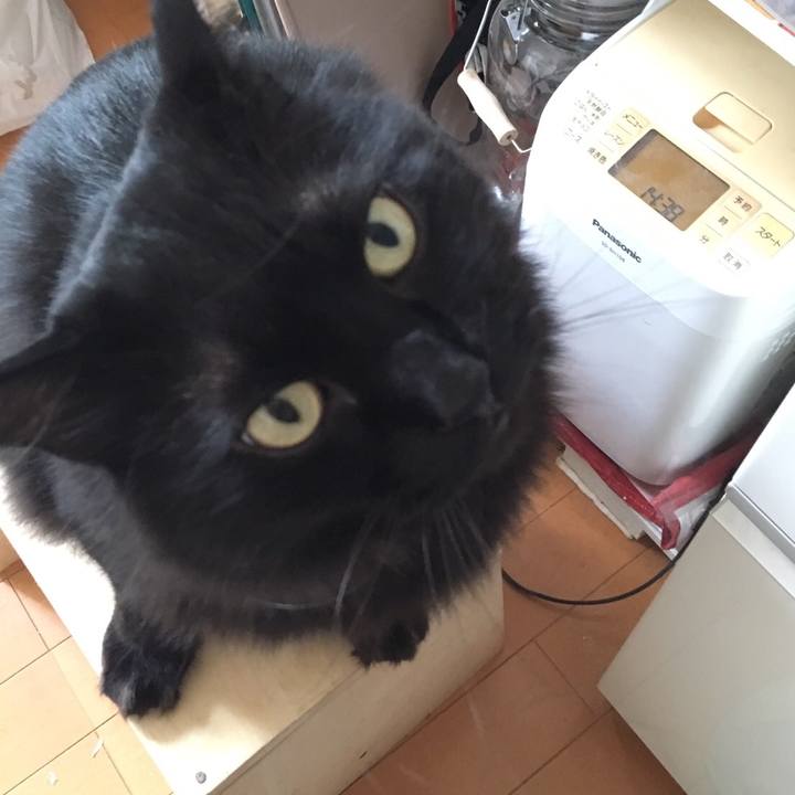 79adcc9c 3806 409c 93bb 40604c003423