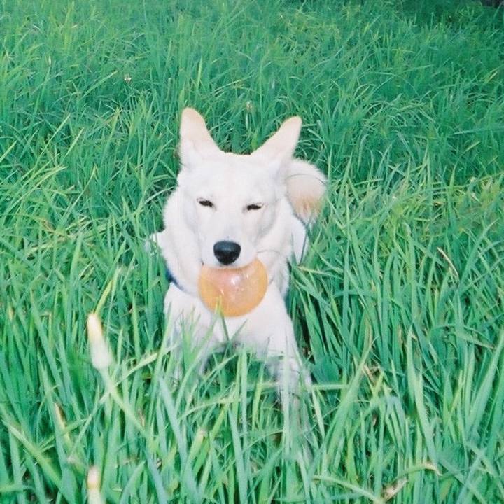 79ae3667 9413 48b4 9b36 7daaf80bf648