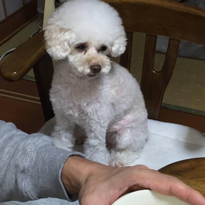 79aea652 58a4 458f 8db9 0fa9eb1a66fa