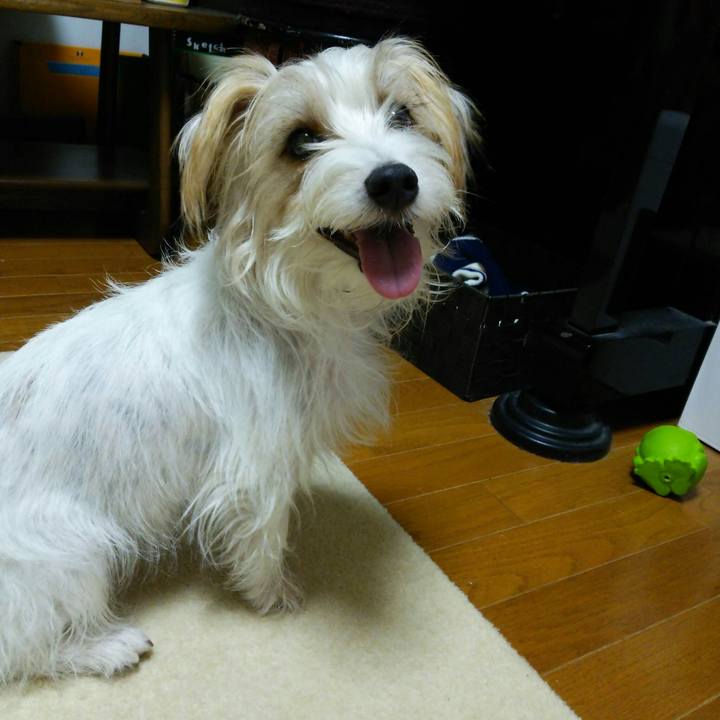 79af2102 5974 4a8e ade8 21b4532cd55d