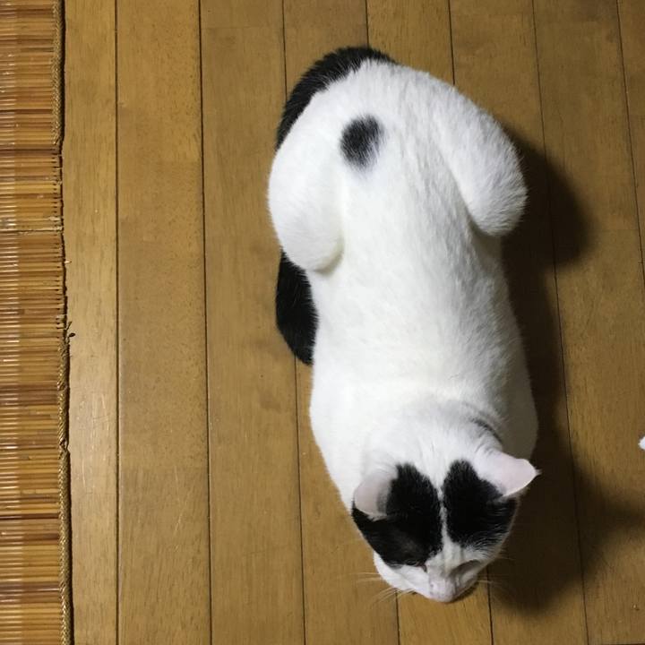 79af6f81 6a05 4347 b607 d626d8bbed87