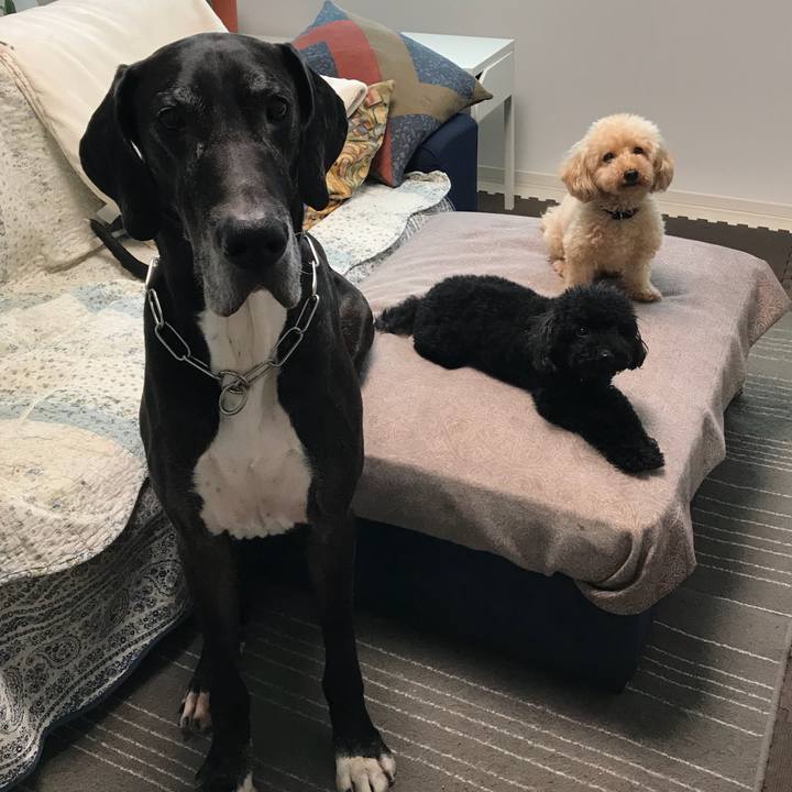 79af7ef5 dea7 4588 bc46 5a1f75dc3ae0