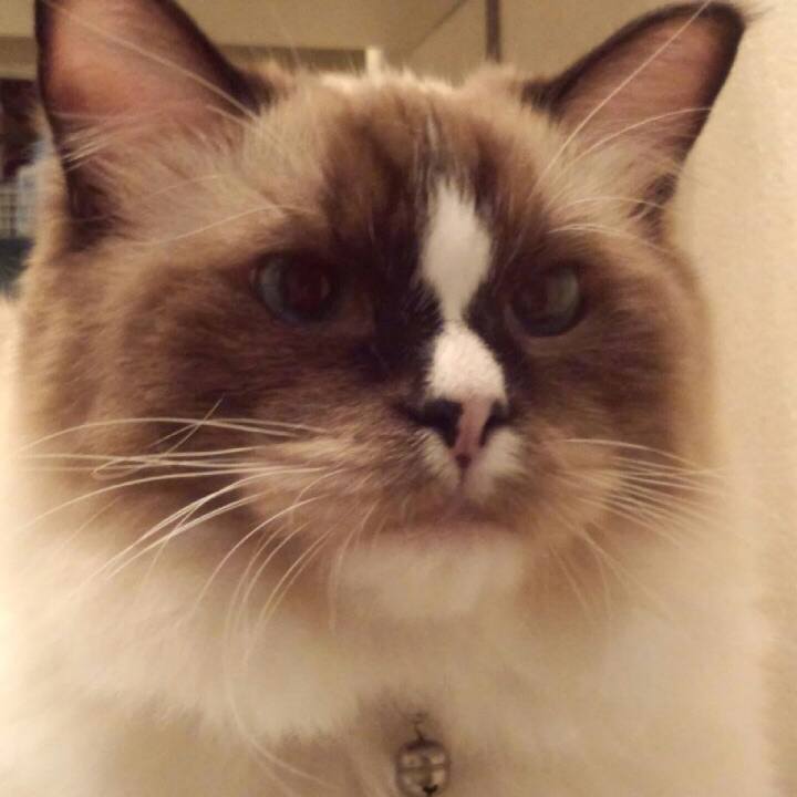 79afedf5 ea32 48f4 aef5 646ff493231c