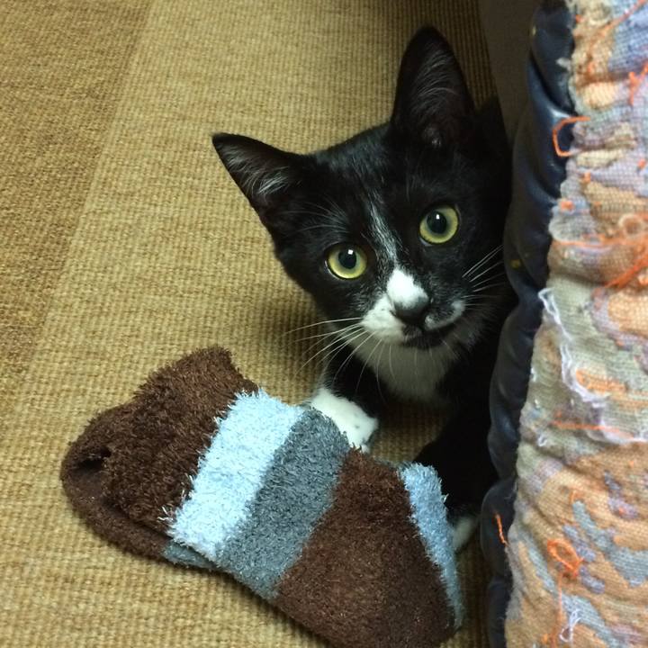 79b06e29 6302 4cfb b2cf 9d8b555812f8