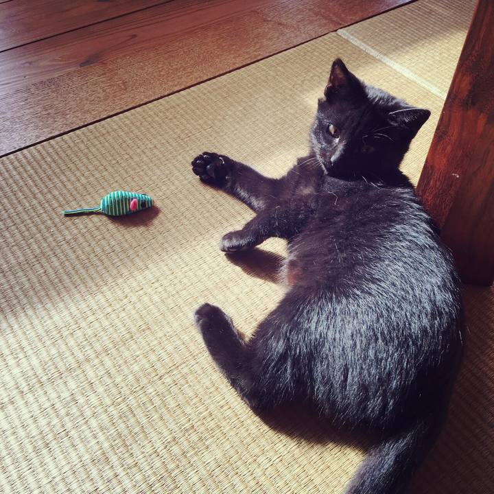 79b0d30c 0a6c 4a8b b703 072848aebb28