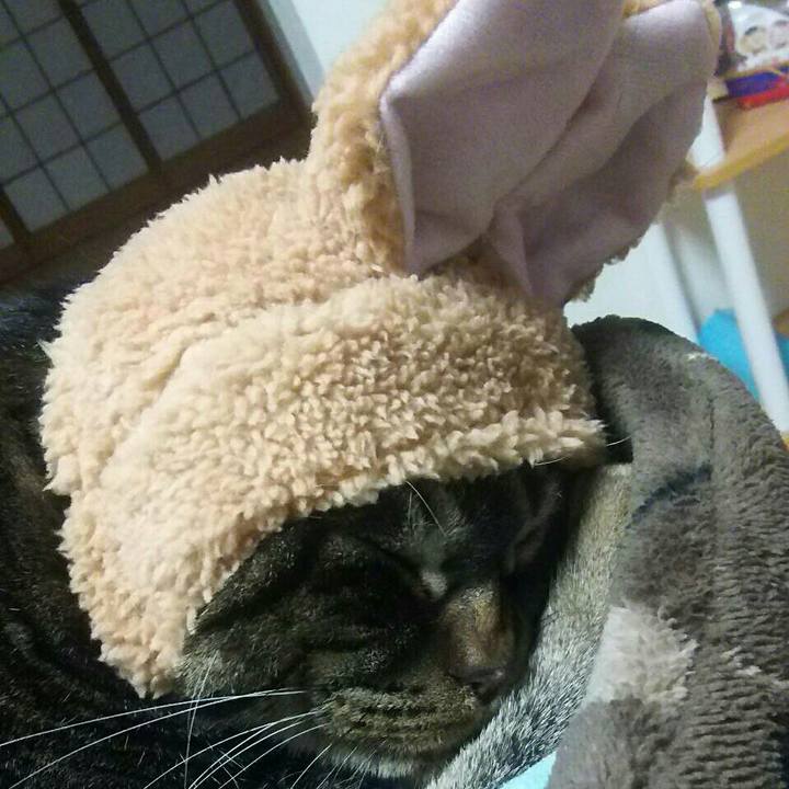 79b0e4e2 b9b6 460e a4c5 83c2c421e035