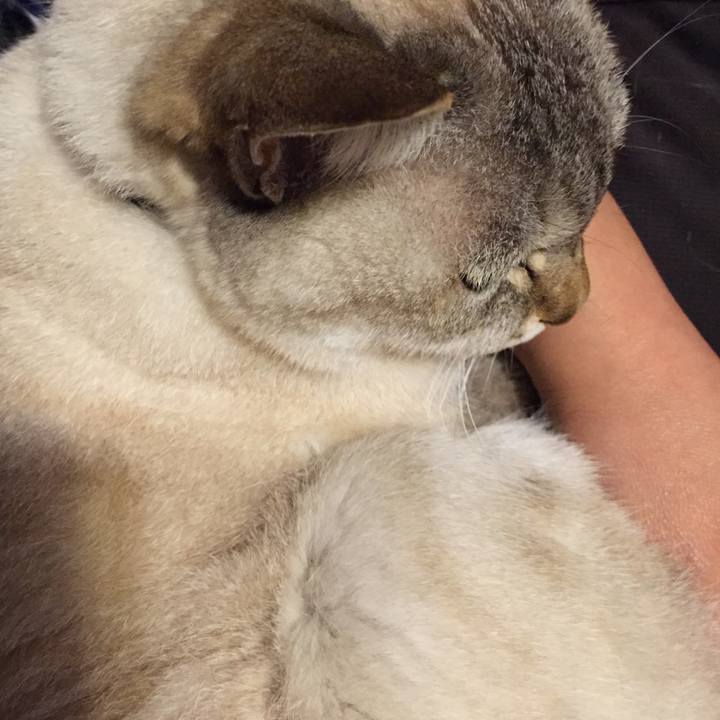 79b164e9 a8da 4671 8692 dfd89a507705