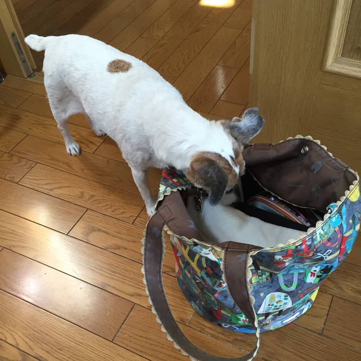 79b1b942 5df1 4a1c a813 791220e9fedc