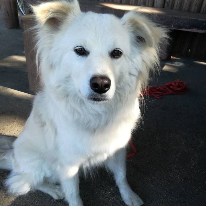 79b1e586 4b0c 4bb4 a7f3 a686057f6246