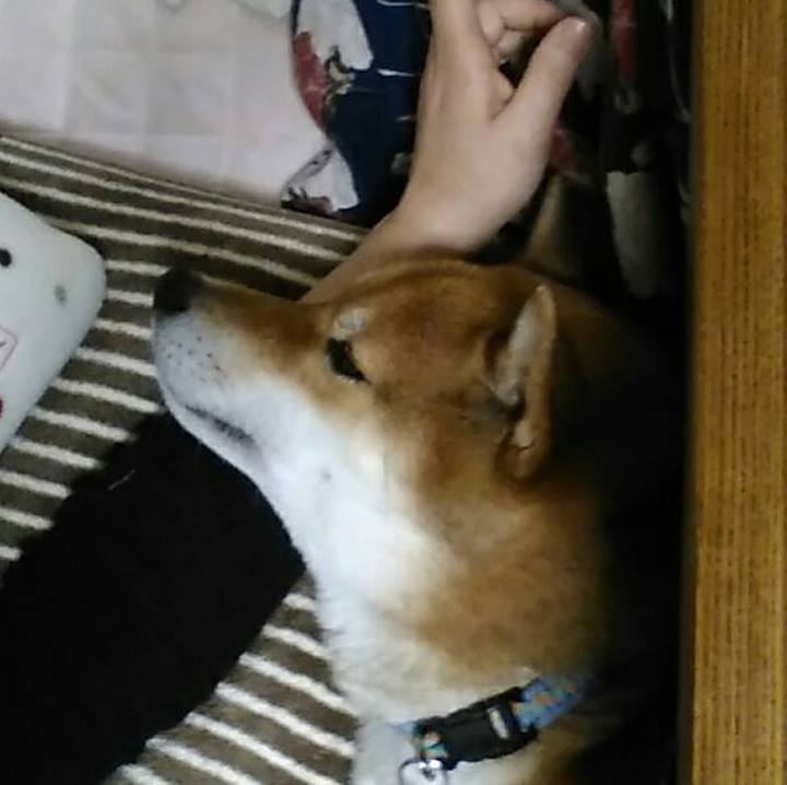 79b24e8a 03b4 4da4 824b 53ae780ded44