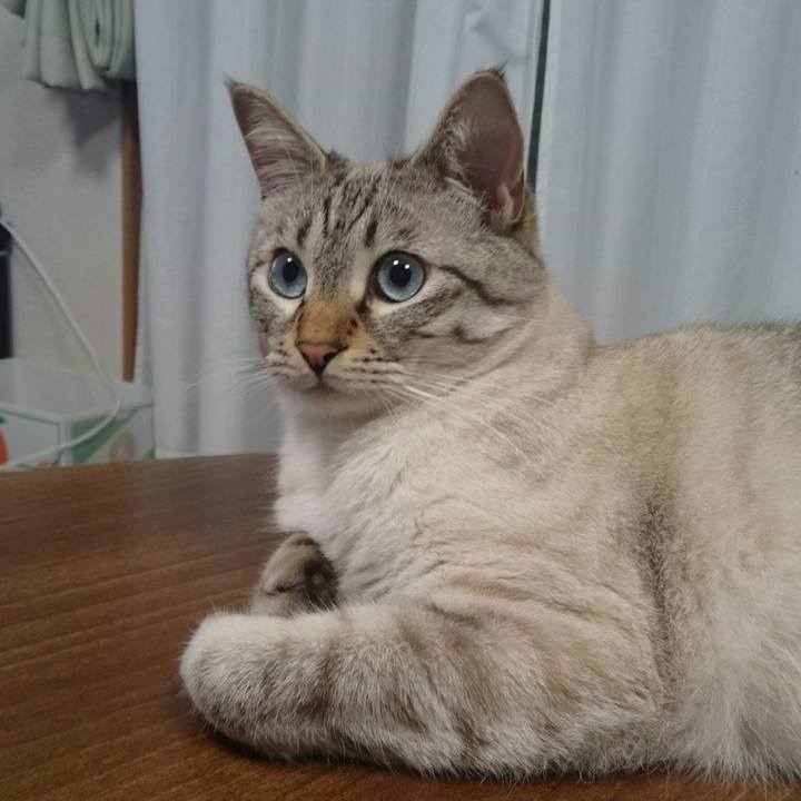 79b276be 4064 4184 bb7f 7bf444667850