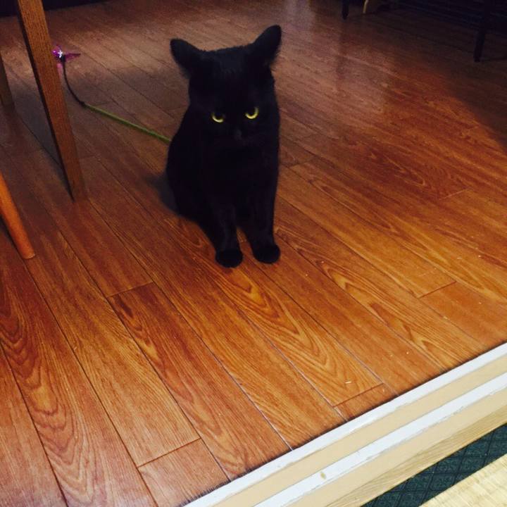 79b27729 c4ec 47c5 ab74 7252a2c7300d