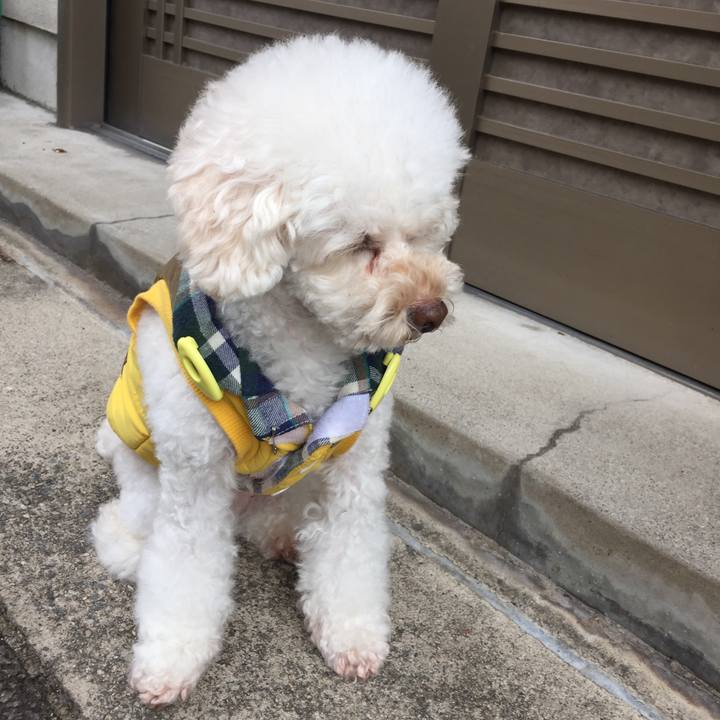 79b2b902 cbef 438c 855d 8d43c59b72b1