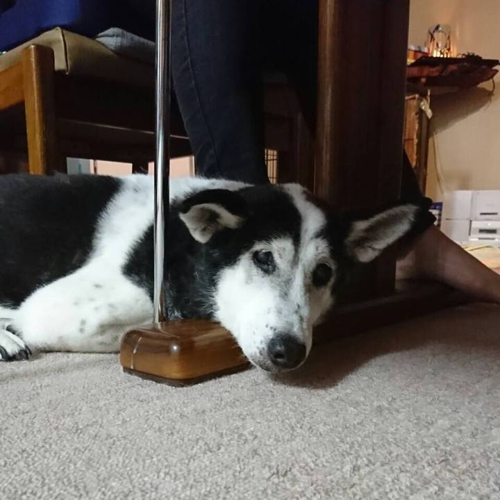 79b41165 806b 45b4 b221 31536ffb3fd2