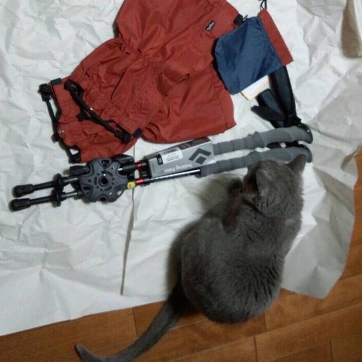 79b421bc 5b8f 4298 aab5 d6d7592419ea