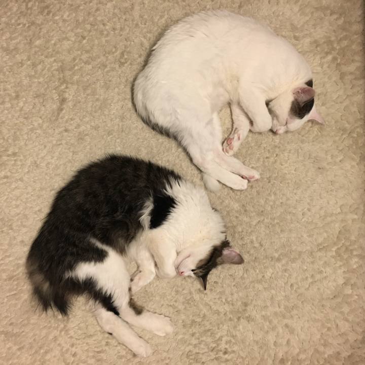 79b4a654 2ba3 4498 9f33 66b3be0da682