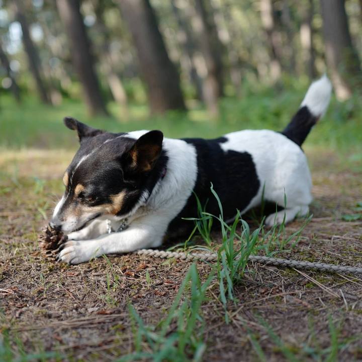 79b4a90b 0aa7 470a b8c9 a9d930edd9f0