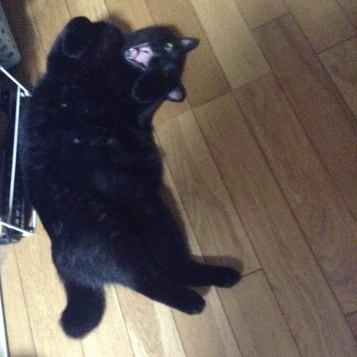 79b4c36e caf9 4a65 bdb2 50a7822cd7b1