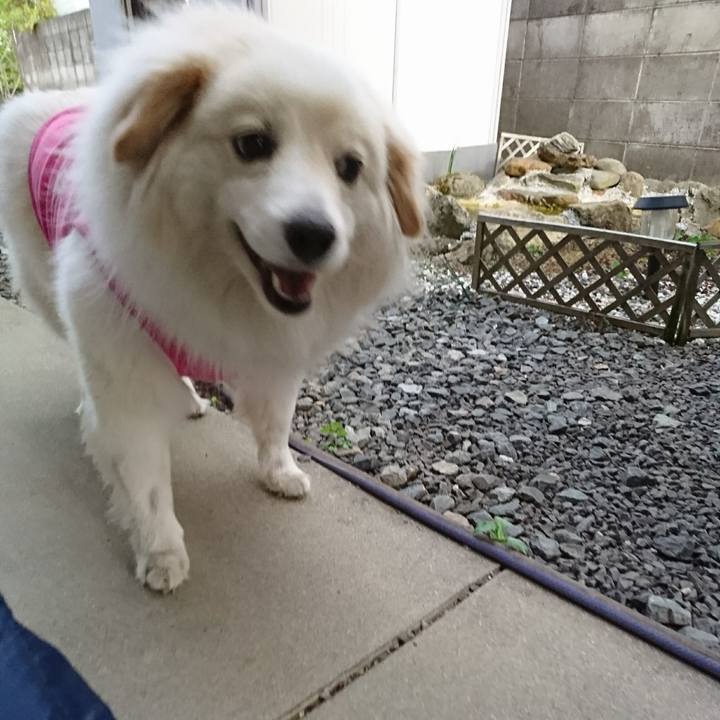 79b56d09 19fa 41ab 8c58 92e70678fd79