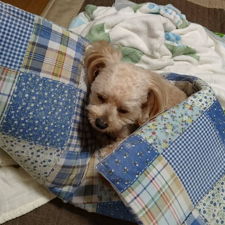 79b67b6a 4360 4b6e a5a7 08a6c66aa070