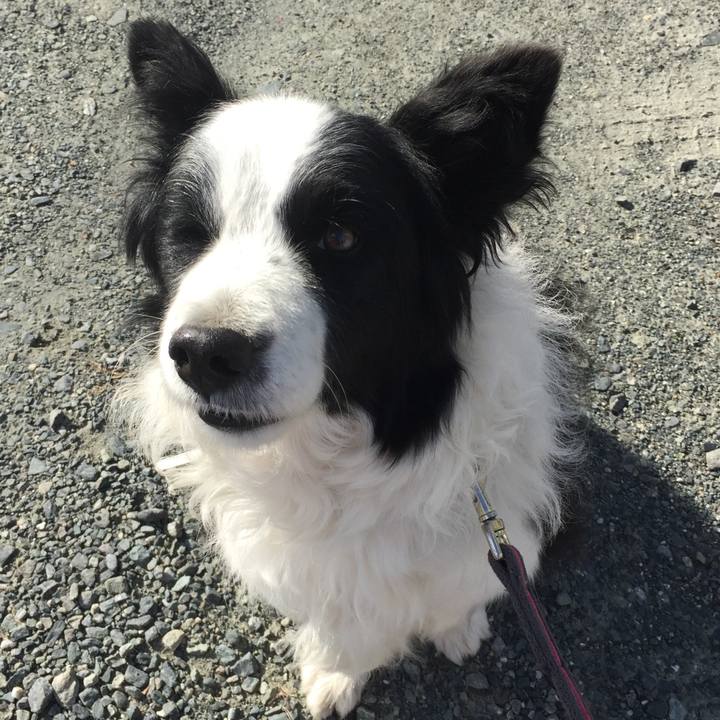 79b77638 cb2a 41e8 9e57 4b47e08c2cca