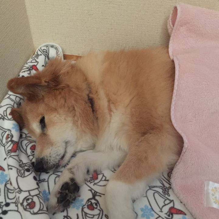 79b7cfab 8a7d 4c45 a4ba 37513218fcd9