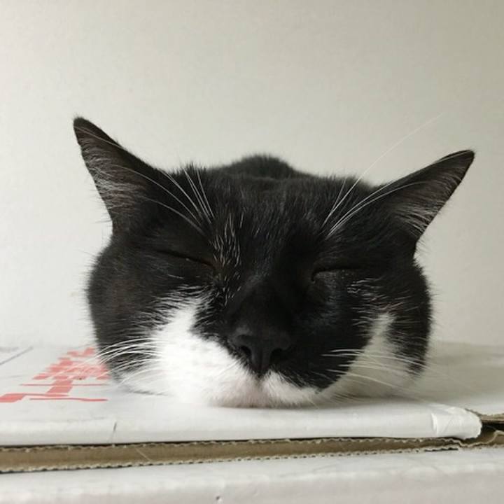 79b7f198 91e8 46b9 840a 2cfe50dcf032