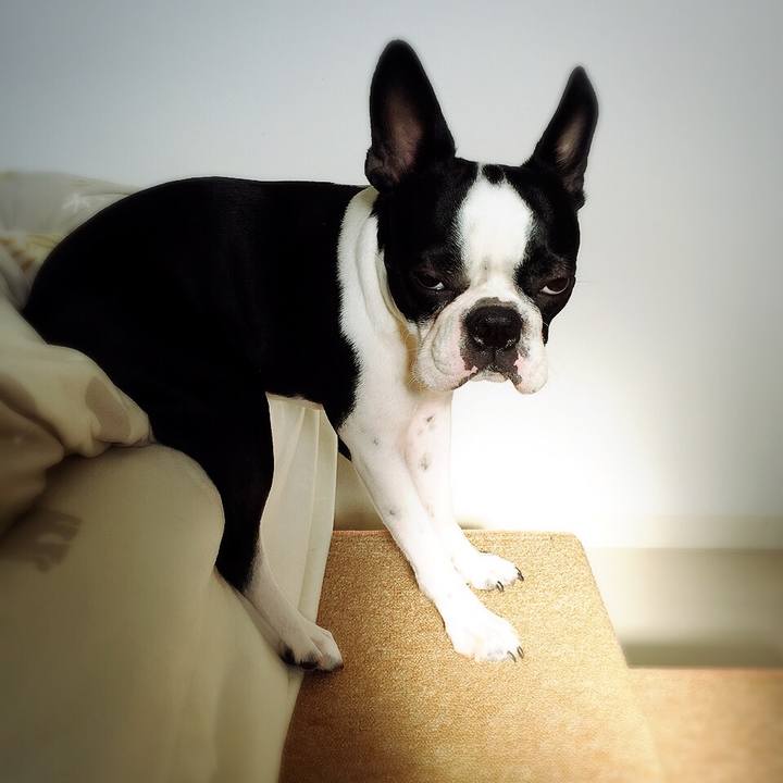 79b80bd3 2509 4adf b7d6 edbfc7223da4