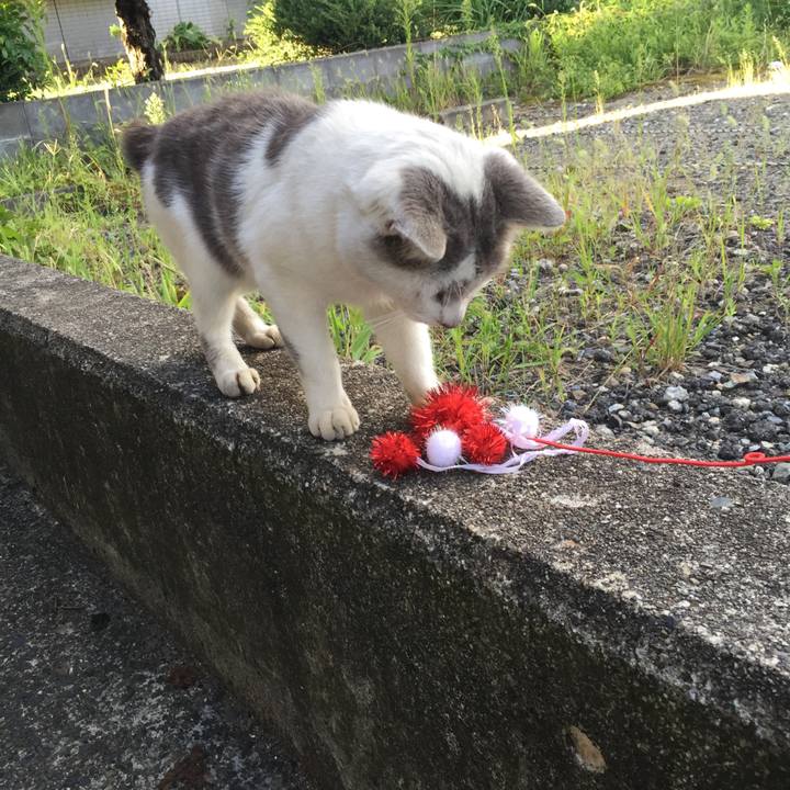 79b86145 84c2 44c1 bec6 83cabf149ef2