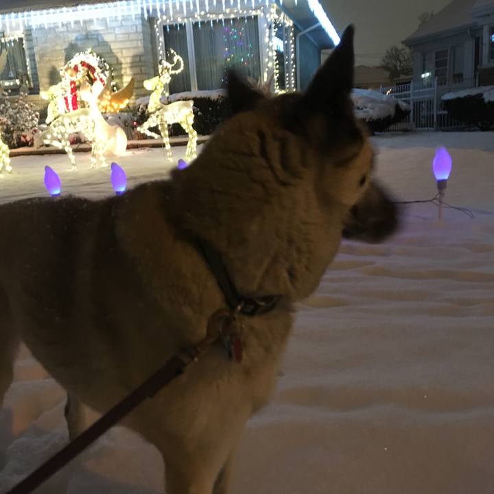 79b86196 2df0 4ee2 816d 8cab2e519609