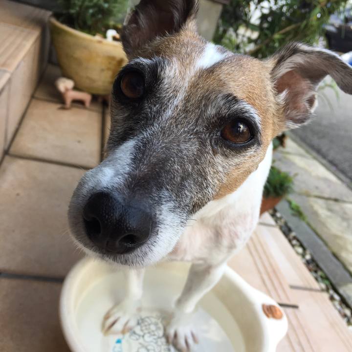 79b8d34e ac7f 4ba8 b3a1 fcdbc5f2fe3c