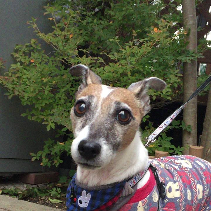 79b90cfb 8128 4de7 beb6 d43b812871f7