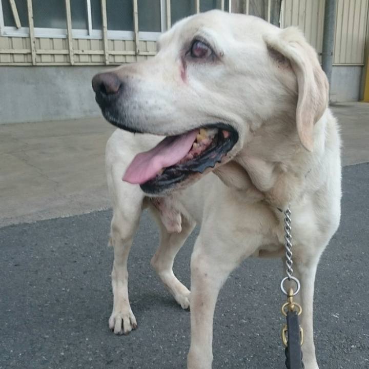 79b98238 3c1f 4911 9495 19c995d56ac0