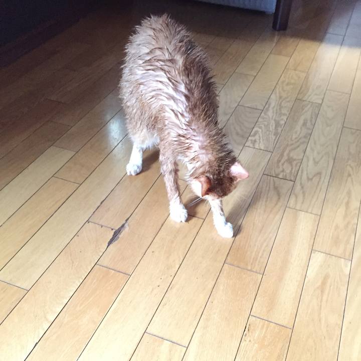 79b98f1f 5b24 48ac ab3b 040162f0b610